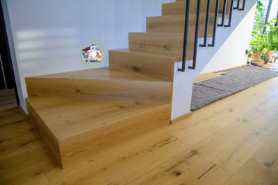 ilina-Rosina202